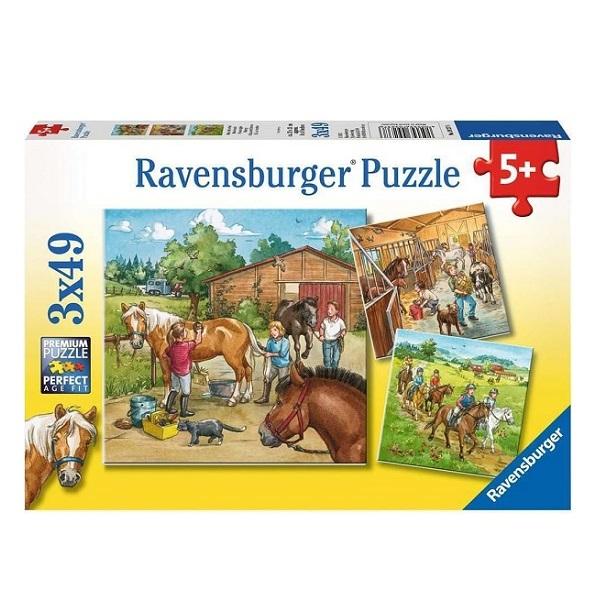 Puzzels_3_x_49_stukjes_Manage_1