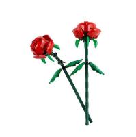 Botanicals_Flowers_Rozen_1