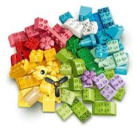 LEGO_DUPLO_kleurrijke_creatieve_doos_10479_3