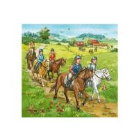 Puzzels_3_x_49_stukjes_Manage_3
