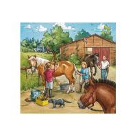 Puzzels_3_x_49_stukjes_Manage_5