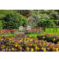 Ravensburger_Puzzel_Keukenhof_Nederland_1000_stukjes_1