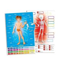 _Het_Menselijk_Lichaam_2