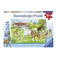 _Puzzels_2_x_24_stukjes_Op_de_Manege