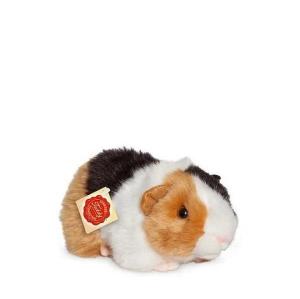 Cavia_20_cm_2