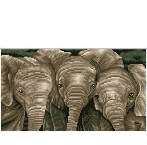 Diamond_Dotz_Trunk_Call_3