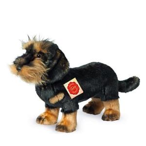 Hond_Ruwharige_Teckel_23_cm