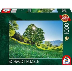 Schmidt_Puzzel_Berg_Ahorn_in_Sonnenlicht_St__Gallen_Schweiz_1000_stukjes_2