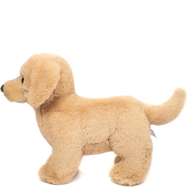 Hond Golden Retriever Staand 30 cm