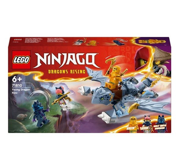 Lego Ninjago Jonge Draak Riyu