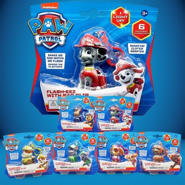 images/productimages/small/Paw_Patrol_Flasheez_Single_Pack_Assorti__2.jpg