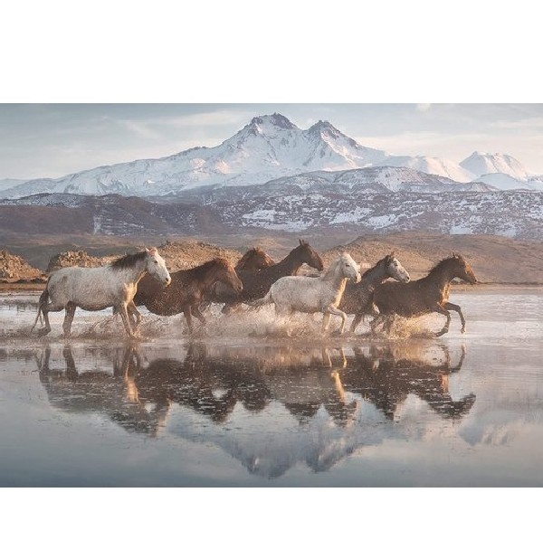 Schmidt Puzzel Paarden in Cappadocie 1000 stukjes