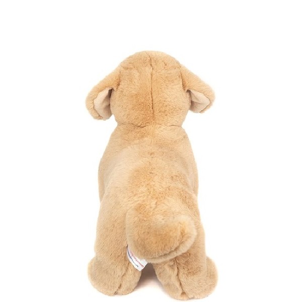 Hond Golden Retriever Staand 30 cm