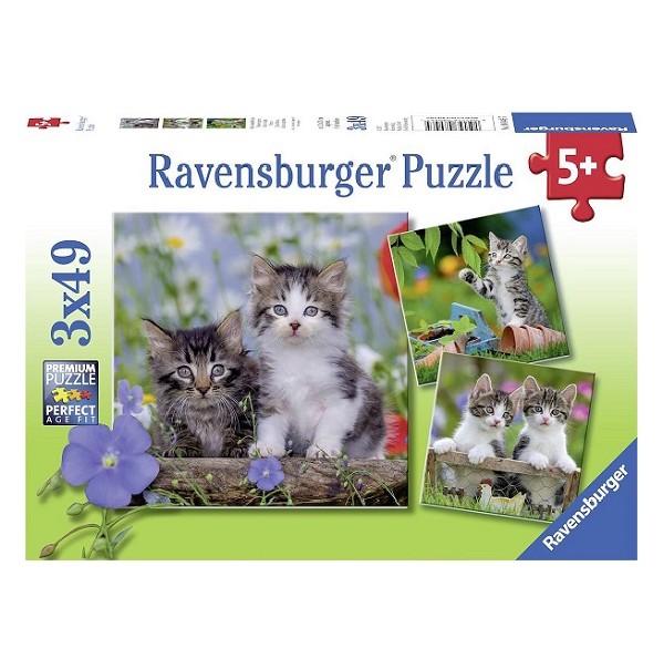  Puzzels 3 x 49 stukjes Katten